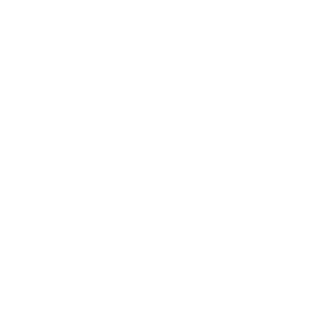 pulz-logo